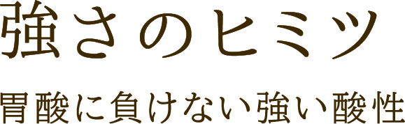 強さのヒミツ